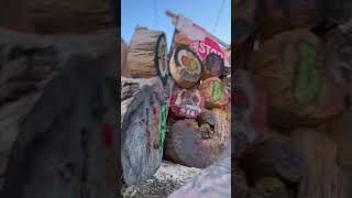 Download lagu Shot through the heart @JonBonJoviVEVO #knifethrowing #trickshots #bmatc #heart #love #bullseye mp3