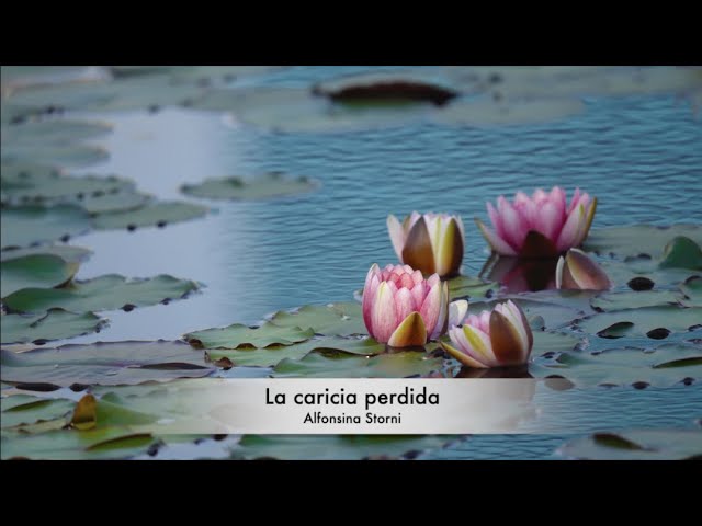 Vídeo relacionado con La caricia perdida (Poesía portátil)