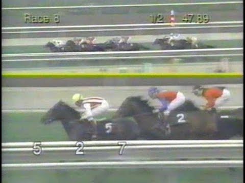 1993 San Gabriel Handicap