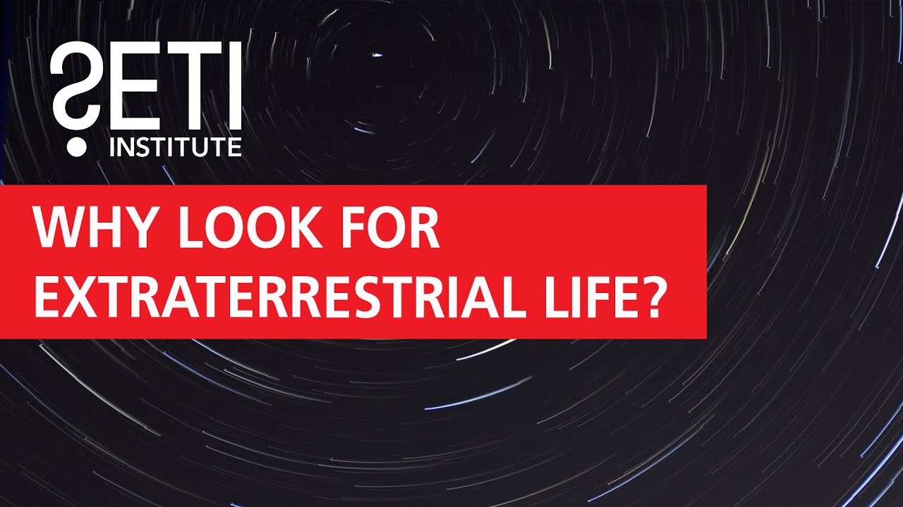 Why Look for Extraterrestrial Life?