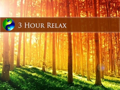 3 Hour Relaxing Music: New Age Music; Musica New Age; Relaxation Music; Gentle Music 🌅 114