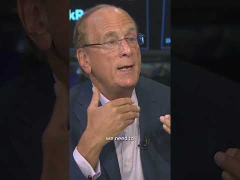 BlackRock CEO Larry Fink: 'More and more organizations' coming to capital markets