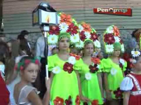 В Самаре 29 августа пройдет восьмой городской фестиваль цветов