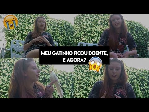 De olho no comportamento dos seus animais - Pets da JuRuiva