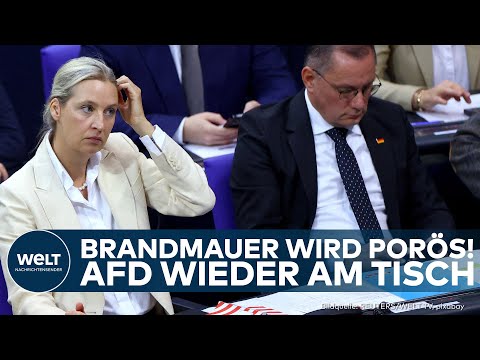 DEUTSCHLAND: Brandmauer bröckelt! Mittelstand ringt mit dem Umgang zur AfD