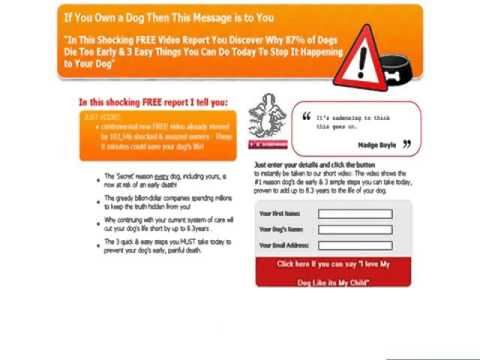download lagu mp3 mp4 German Shepherd Dog Training Manual Pdf, download lagu German Shepherd Dog Training Manual Pdf gratis, unduh video klip German Shepherd Dog Training Manual Pdf