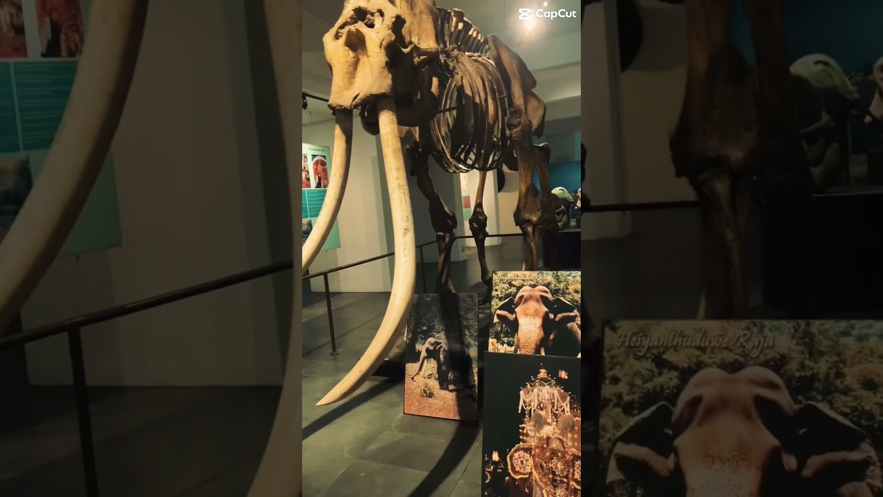 YouTube Short thumbnail