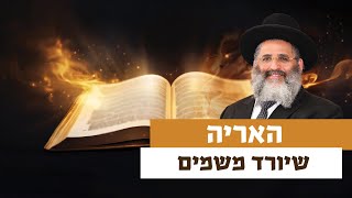 האריה שיורד משמים | רגע של אור עם מו"ר הרב ישראל אברג'ל שליט"א