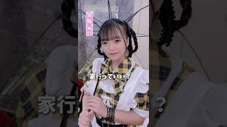 しつこくてすみません #推しは推せる時に推せ #推し推せ #コンカフェ #ミナミコンカフェ #メイド #アイドル #shorts