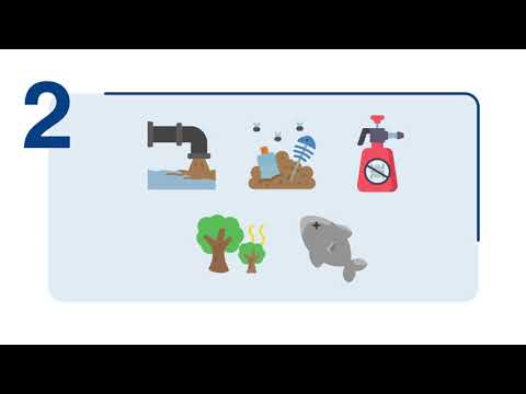 Te damos cinco 🖐🏼 consejos para beber agua segura 💧