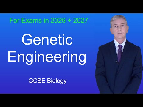 GCSE Biology Revision "Genetic Engineering"
