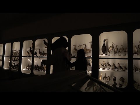 video frame placeholder