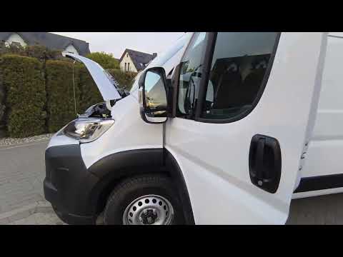 Fiat Ducato, cargo van