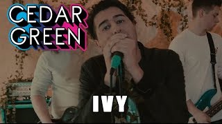 Cedar Green - Ivy (Official Music Video)