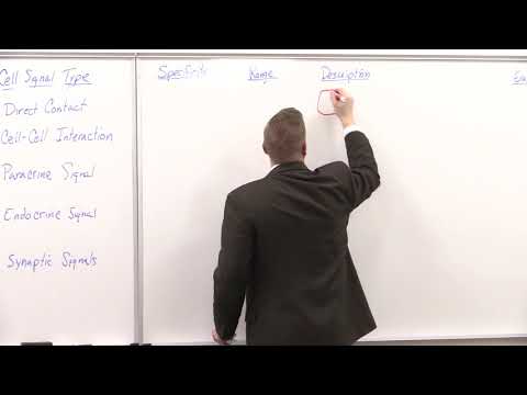 Bio180 Cell Signaling