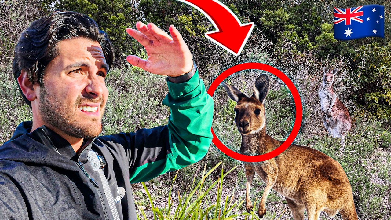 Así es la VIDA en Australia entre CANGUROS Y KOALAS 🇦🇺 ¡TODO ES VERDAD! 😨⚠️