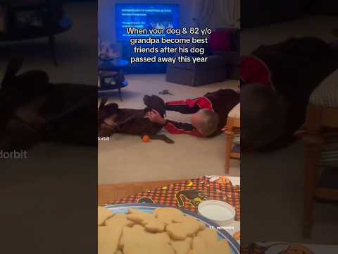 My dog and 82 year old grandpa became friends instantly & it melts my heart #shorts