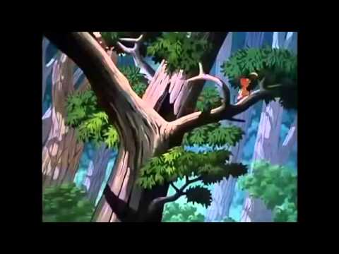 Donald Duck & Chip and Dale Cartoon Full Episodes