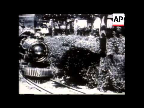 Charleston Craze, Crazy Stunts, Beaches, Miss America