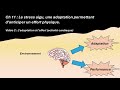 Chapitre 11 : Le stress aigu, vidéo 2 (Révision bac général bio éco)