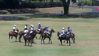 The Villages Polo Club 5/3/2026