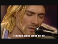 Nirvana - Jesus Don't Want Me For a Sunbeam ...