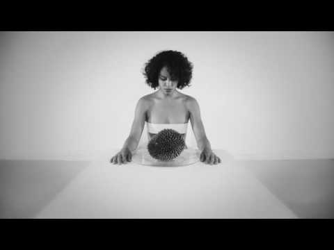 Ensemble Economique - Blossoms In Red (feat. Soft Metals)