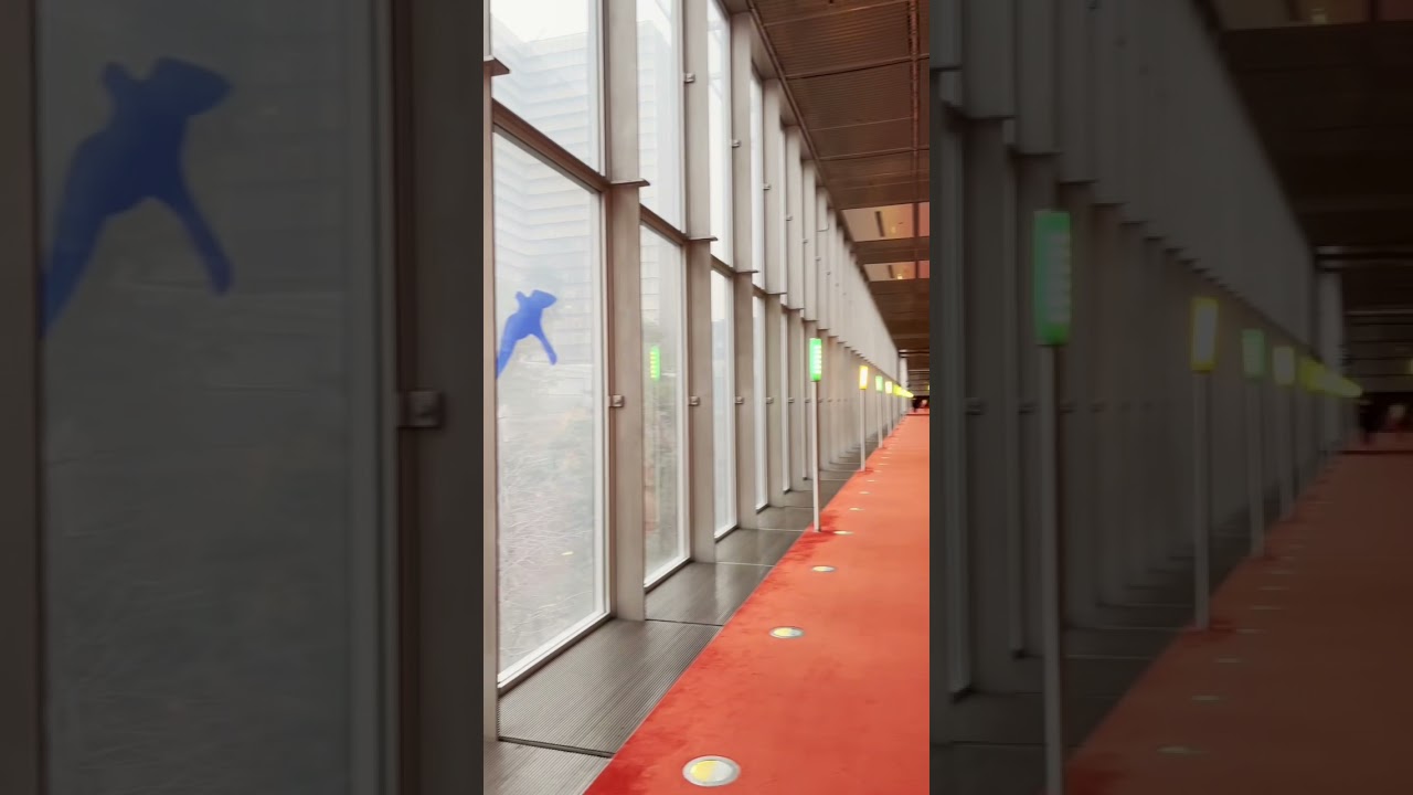 YouTube Short thumbnail