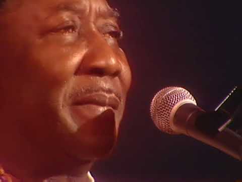Live Dortmund Jazz Festival 1976 のサムネイル