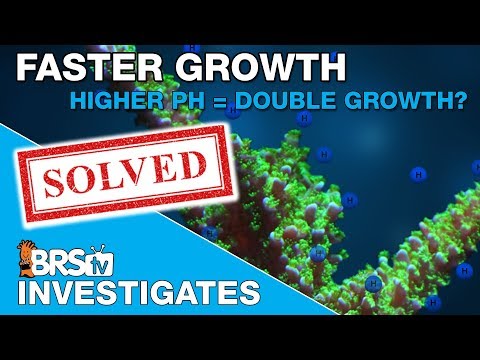 Can a higher reef tank pH double coral growth? | BRStv Investigates