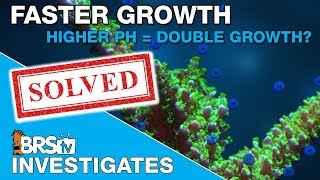 Can a higher reef tank pH double coral growth? | BRStv Investigates