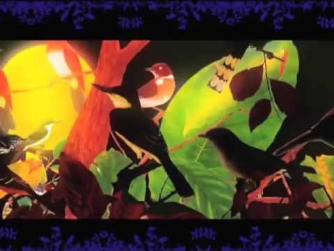 Hardage - Everyday & Everynight feat. Nina Miranda & Alphabeat [Official Music Video]