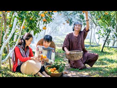 JW Songs / Kingdom Melodies