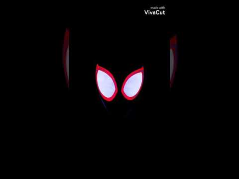 Expectations remix (spider-man into the spider verse)