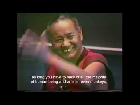 Fear, Anger, and Action - Lama Yeshe