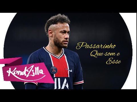 NEYMAR JR ● BEAT DO BEM - TE - VI - PASSARINHO QUE SOM É ESSE? (FUNK REMIX) BY. NESCAU