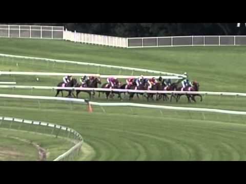 2005 Royal Randwick (form. Keith Mackay)- Blizzardly
