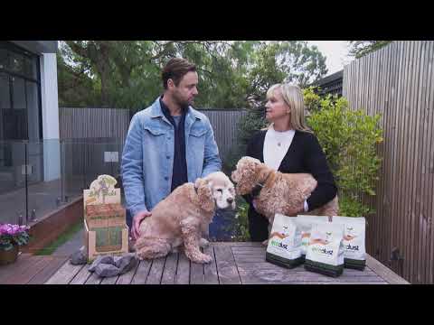 YouTube video about: Are dog rocks safe for cats?