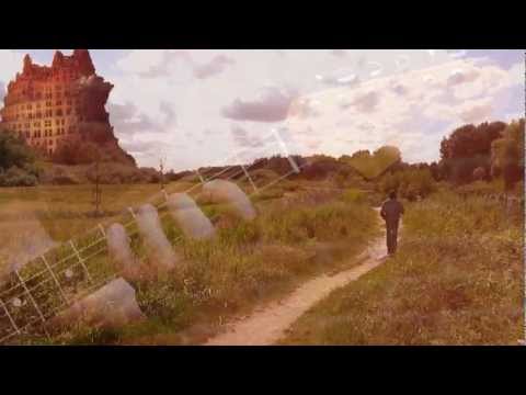 Bird of habibah - The flight to Babylon