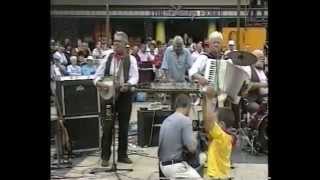 The Wurzels - Live in Broadmead - Bristol - 30/7/01 - (The Combine Harvester remix release gig!)