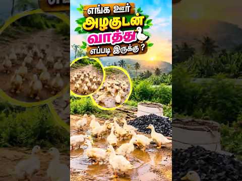 நம்ம ஊர் எப்பவும் அழகு தான் 😍😍