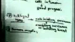 general pathology 36 : DR SAMEH GHAZY prognosiscarcinogens
