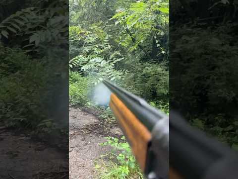 Top 5 Best Budget Hunting Rifles in 2026: Browning Shootout Under $1100