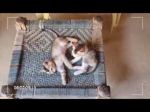 Chemistry is my first love