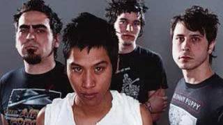 Lola Ray- She&#39;s A Tiger