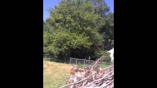 Spiders, Cricket Control, Termites, Mosquito Inspection Spotswood NJ 732-309-4209 | Exterminating