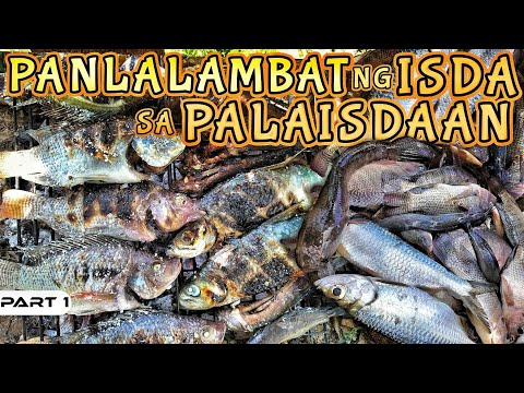 EP918-P1 - Panlalambat sa Palaisdaan