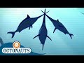 Octonauts Aboard The Swordfish Seaship Cartoons For Kids Underwater Sea Education