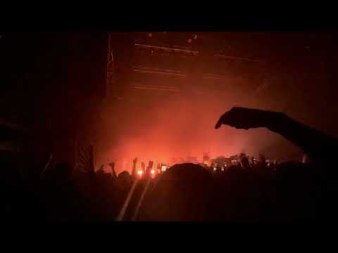 Zeds Dead X GRiZ - Ecstasy of Soul | Live | Return to the Spectrum of Intergalactic Happiness