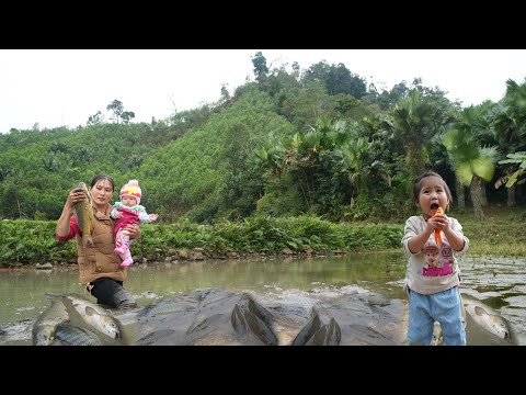 Harvesting giant carp and catfish from a natural fish pond for sale - Simple life in the canyon